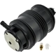 Purchase Top-Quality DORMAN - 949-881 - Air Suspension Ressort pneumatique pa1