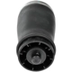 Purchase Top-Quality DORMAN - 949-951 - Air Suspension Air Spring pa2