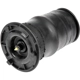 Purchase Top-Quality DORMAN (OE SOLUTIONS) - 949-050 - Air Spring pa7