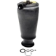 Purchase Top-Quality DORMAN (OE SOLUTIONS) - 949-250 - Air Spring pa9