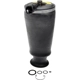 Purchase Top-Quality Air Spring by DORMAN (OE SOLUTIONS) - 949252 pa1