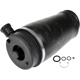 Purchase Top-Quality Air Spring by DORMAN (OE SOLUTIONS) - 949252 pa5