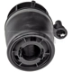 Purchase Top-Quality Air Spring by DORMAN (OE SOLUTIONS) - 949-257 pa2