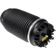 Purchase Top-Quality DORMAN (OE SOLUTIONS) - 949-350 - Air Spring pa6