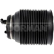 Purchase Top-Quality Air Spring by DORMAN (OE SOLUTIONS) - 949-450 pa1