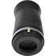 Purchase Top-Quality DORMAN (OE SOLUTIONS) - 949750 - Air Spring pa2