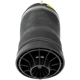 Purchase Top-Quality DORMAN (OE SOLUTIONS) - 949-853 - Air Suspension Air Spring pa2