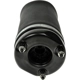 Purchase Top-Quality DORMAN (OE SOLUTIONS) - 949-864 - Air Suspension Air Spring pa2