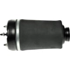 Purchase Top-Quality Air Spring by DORMAN (OE SOLUTIONS) - 949864 pa4