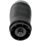 Purchase Top-Quality Air Spring by DORMAN (OE SOLUTIONS) - 949951 pa4