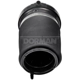 Purchase Top-Quality Air Spring by DORMAN (OE SOLUTIONS) - 949987 pa5