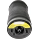Purchase Top-Quality DORMAN (OE SOLUTIONS) - 949-995 - Air Suspension Air Spring pa2