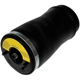 Purchase Top-Quality DORMAN (OE SOLUTIONS) - 949-996 - Air Suspension Air Spring pa1