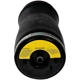 Purchase Top-Quality DORMAN (OE SOLUTIONS) - 949-996 - Air Suspension Air Spring pa2