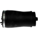 Purchase Top-Quality DORMAN (OE SOLUTIONS) - 949996 - Air Spring pa8