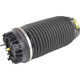 Purchase Top-Quality Air Spring by MOPAR - 68248948AA pa3