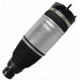 Purchase Top-Quality Air Spring by UNITY AUTOMOTIVE - 15117700 pa1