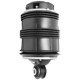 Purchase Top-Quality Air Spring by UNITY AUTOMOTIVE - 15513100 pa1