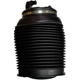 Purchase Top-Quality UNITY AUTOMOTIVE - 15516500 - New Rear Ressort pneumatique Bag pa1