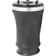 Purchase Top-Quality Air Spring by UNITY AUTOMOTIVE - 15525501 pa2