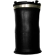 Purchase Top-Quality Air Spring by UNITY AUTOMOTIVE - 15599000 pa1