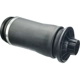 Purchase Top-Quality URO - 1643200625 - Air Spring pa7