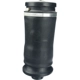 Purchase Top-Quality URO - 1643200625 - Air Spring pa8