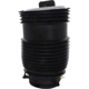 Purchase Top-Quality Air Spring by WESTAR INDUSTRIES - AS17103 pa1