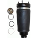 Purchase Top-Quality Air Spring by WESTAR INDUSTRIES - AS7010 pa2