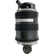 Purchase Top-Quality Air Spring by WESTAR INDUSTRIES - AS7034 pa1