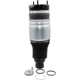 Purchase Top-Quality Air Spring by WESTAR INDUSTRIES - AS7078 pa2