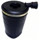 Purchase Top-Quality Air Spring by WESTAR INDUSTRIES - AS7000 pa2