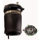Purchase Top-Quality Air Spring by WESTAR INDUSTRIES - AS7028 pa1