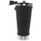 Purchase Top-Quality Air Spring by WESTAR INDUSTRIES - AS7050 pa2
