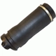 Purchase Top-Quality Air Spring by WESTAR INDUSTRIES - AS7061 pa1