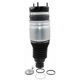 Purchase Top-Quality Air Spring by WESTAR INDUSTRIES - AS7078 pa1