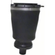 Purchase Top-Quality Air Spring by WESTAR INDUSTRIES - AS7342 pa1