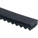 Purchase Top-Quality Alternator And Fan Belt by GATES - TR20451 pa1