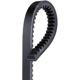 Purchase Top-Quality Alternator And Fan Belt by GATES - TR20451 pa6