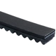 Purchase Top-Quality Alternator And Fan Belt by GATES - TR22410 pa10
