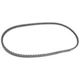 Purchase Top-Quality CONTINENTAL - 10X1000 - Drive Belt pa1