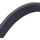 Purchase Top-Quality CONTINENTAL - 6PK1538 - Drive Belt pa3
