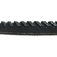 Purchase Top-Quality CONTINENTAL - 15340 - Accessory Drive Belt Alternator Belt pa1