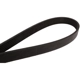 Purchase Top-Quality CONTINENTAL - 6PK2065 - Drive Belt pa2