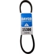 Purchase Top-Quality Alternator Belt by DAYCO - 15300 pa17