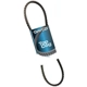 Purchase Top-Quality Alternator Belt by DAYCO - 17560 pa1