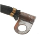 Purchase Top-Quality BLUE STREAK (HYGRADE MOTOR) - EX59 - Alternator Brush Set pa2
