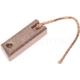 Purchase Top-Quality Alternator Brushes by BLUE STREAK (HYGRADE MOTOR) - RX164 pa2