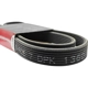 Purchase Top-Quality BANDO USA - 7DPK1360 - Serpentine Belt pa4