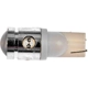 Purchase Top-Quality Lumière de cendrier par DORMAN - 194A-HP pa22